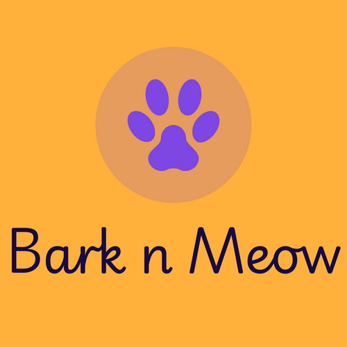 BarkandMeowCompany.store